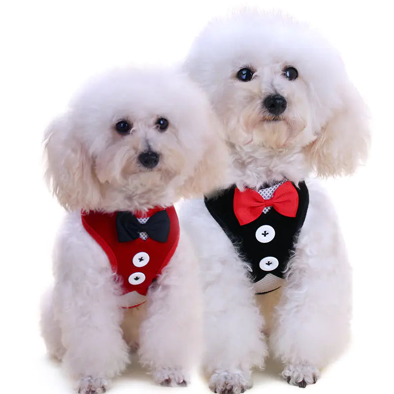 Dog Harness with Bow Tie for Small Dogs and Leash