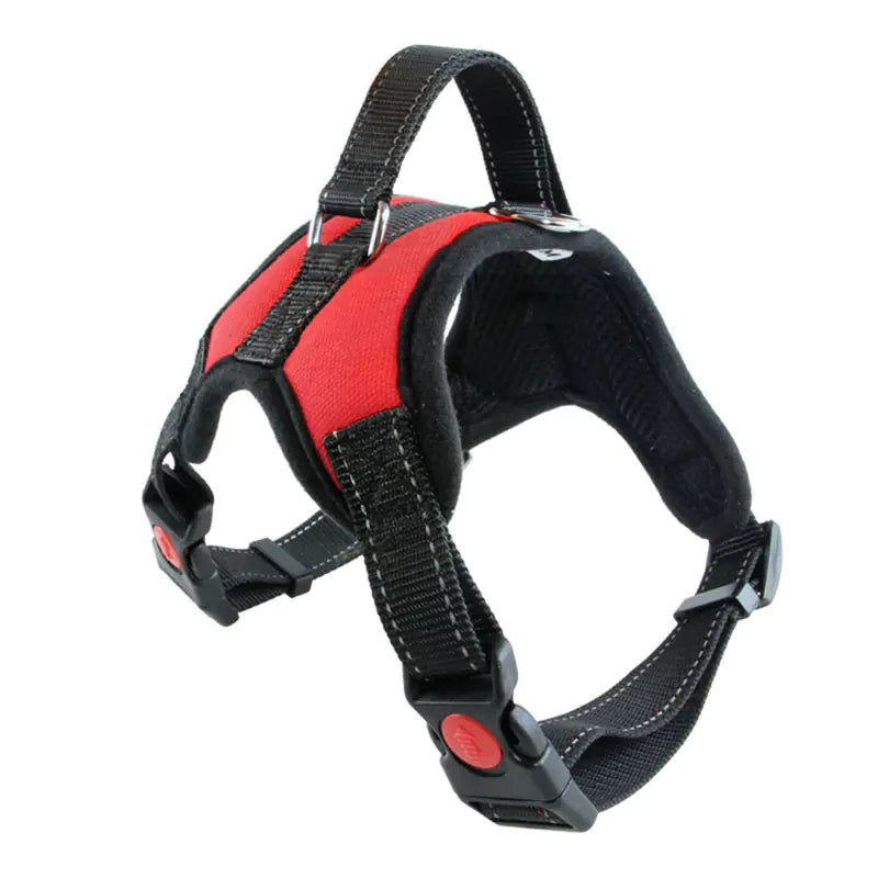 Small Dog Vest with Rope Chest and Back Design