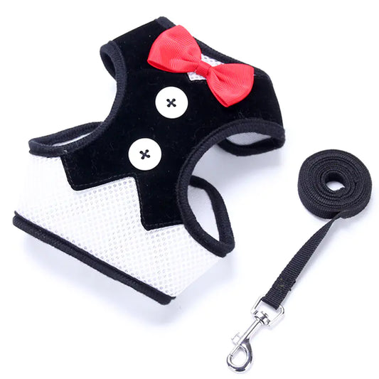 Dog Harness with Bow Tie for Small Dogs and Leash